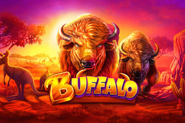 Buffalo Slot